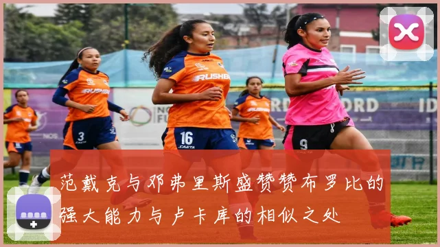 范戴克与邓弗里斯盛赞赞布罗比的强大能力与卢卡库的相似之处