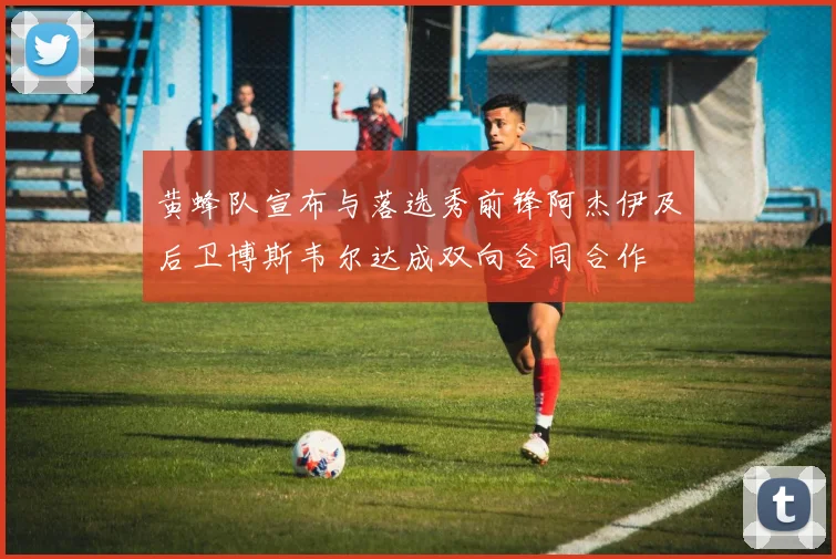 黄蜂队宣布与落选秀前锋阿杰伊及后卫博斯韦尔达成双向合同合作