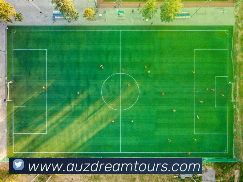 APP界面展示